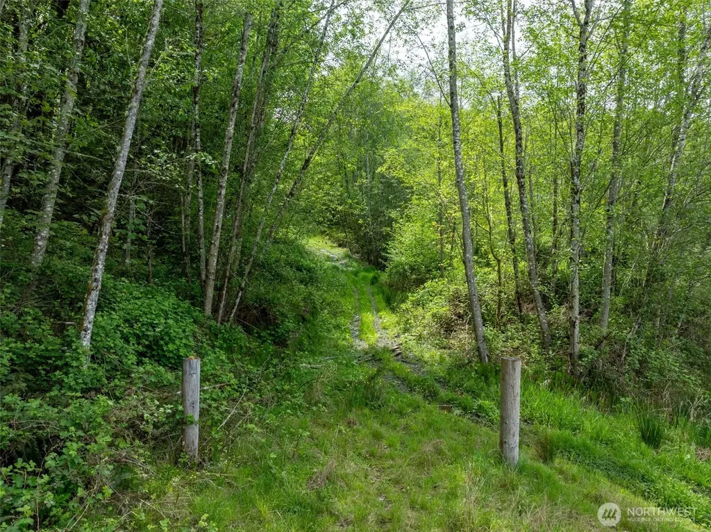 2737 Equus Ridge Lane SW Tenino WA 98589