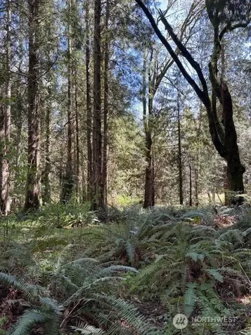 16230 Agate Pass Road Bainbridge Island WA 98110