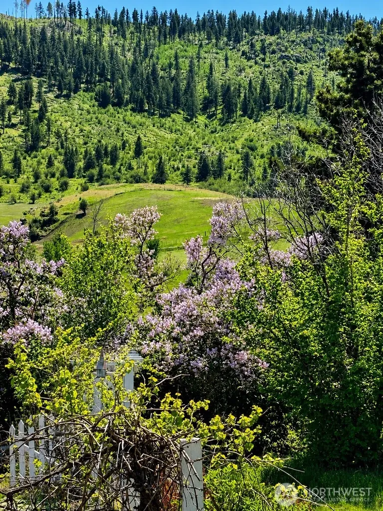 492 Pine Creek Road Tonasket WA 98855