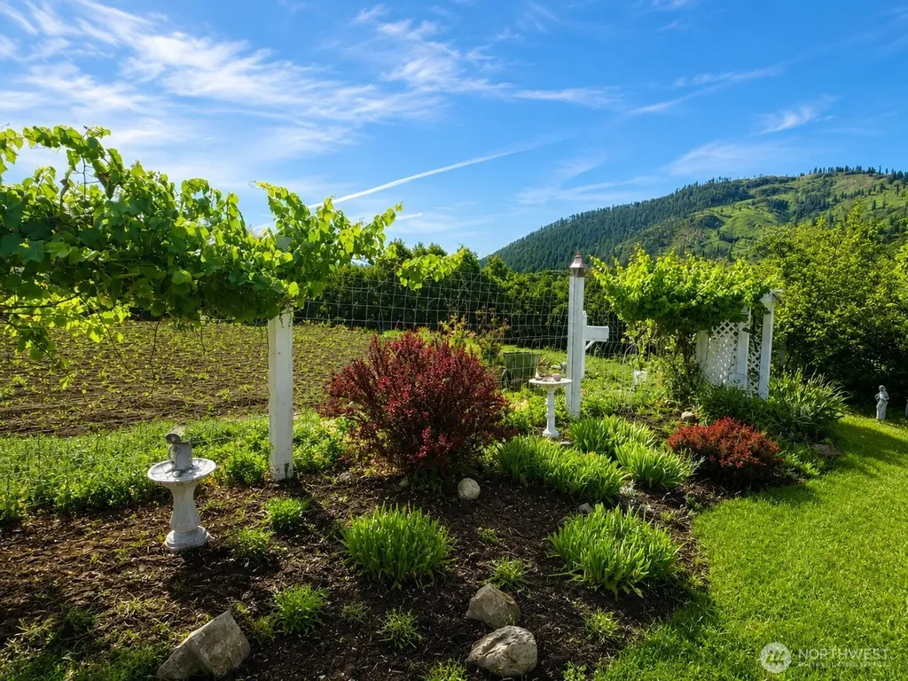 492 Pine Creek Road Tonasket WA 98855