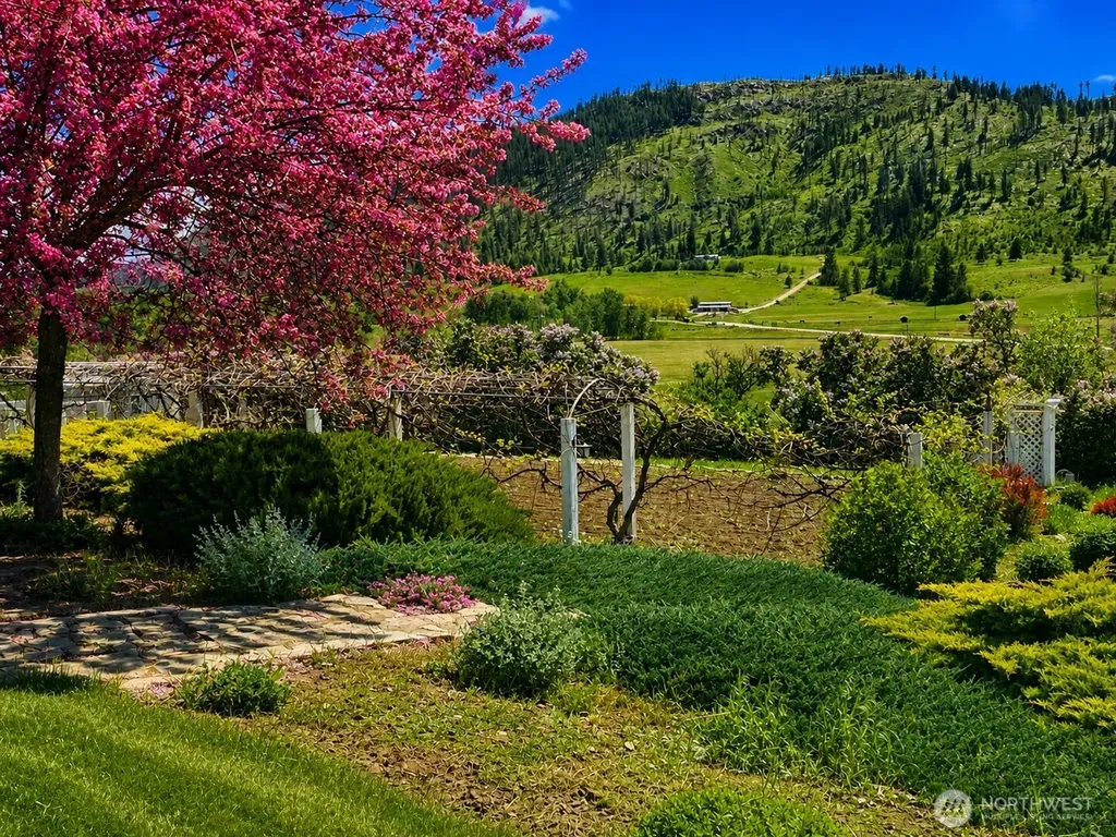492 Pine Creek Road Tonasket WA 98855