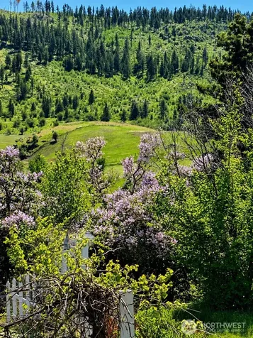 492 Pine Creek Road Tonasket WA 98855