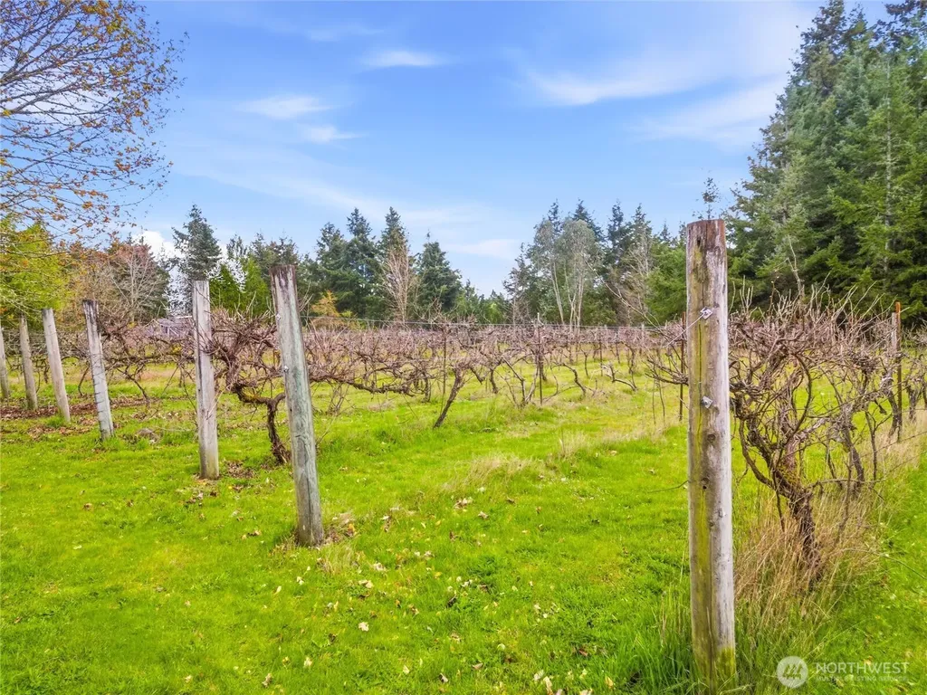 3135 74th Avenue SE Olympia WA 98501