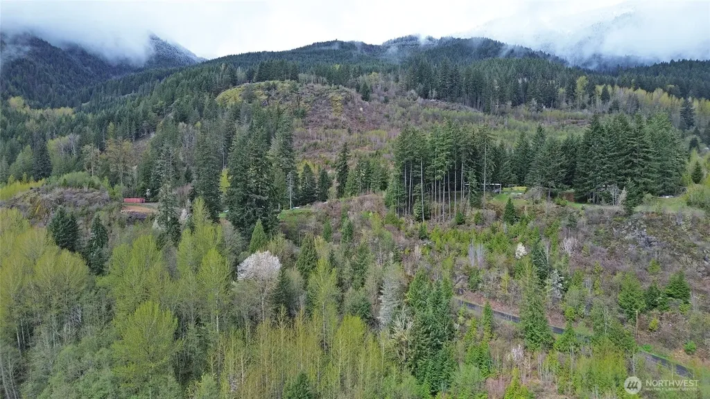 113 Leroy Road Randle WA 98377
