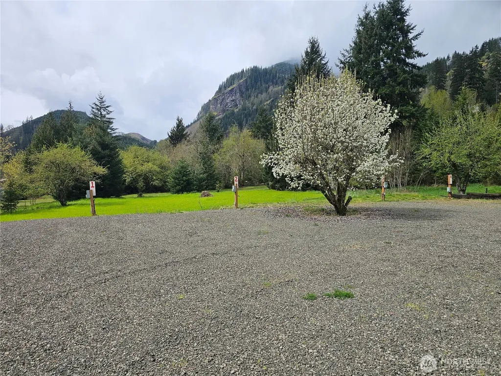 113 Leroy Road Randle WA 98377