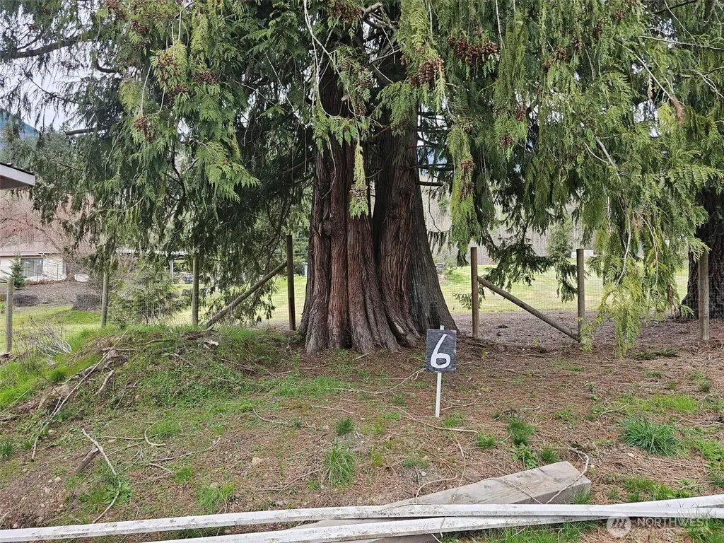 113 Leroy Road Randle WA 98377