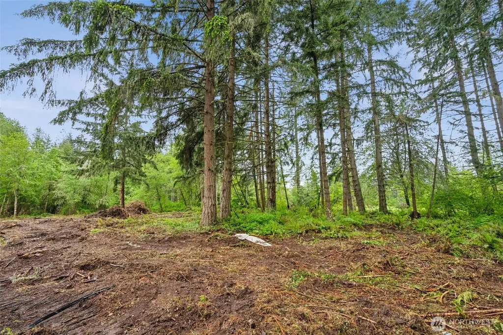 922 322nd Street Ct S Roy WA 98580
