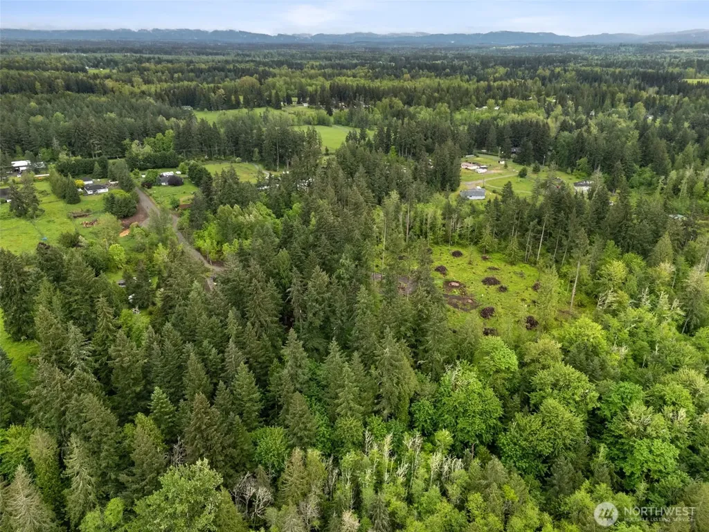 922 322nd Street Ct S Roy WA 98580