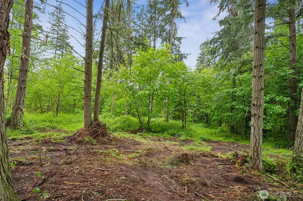 922 322nd Street Ct S Roy WA 98580