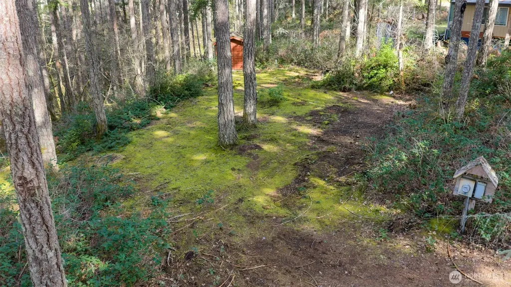240 N Dogleg Place Hoodsport WA 98548