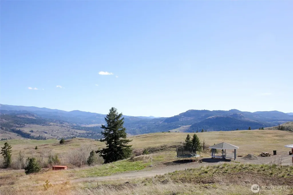 299 Vulcan Mountain Road Curlew WA 99118