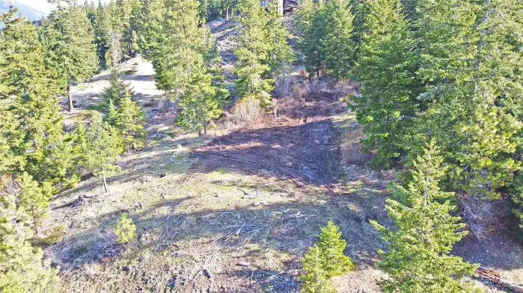 0 Grandview Road Ronald WA 98940