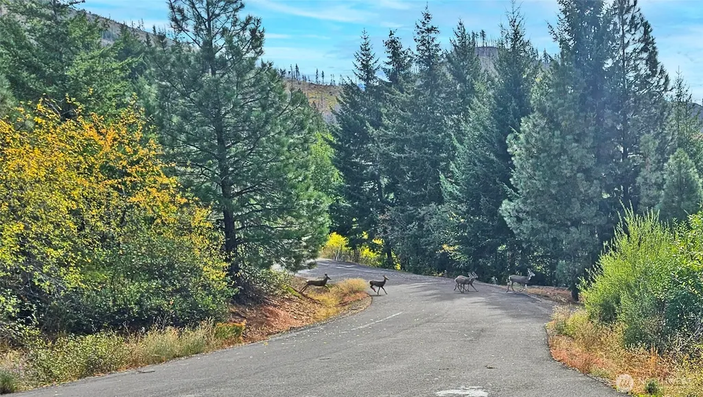 0 Grandview Road Ronald WA 98940