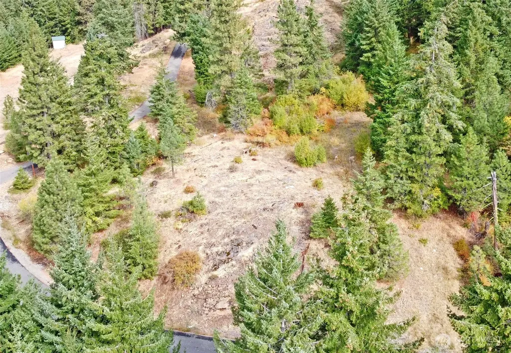 0 Grandview Road Ronald WA 98940