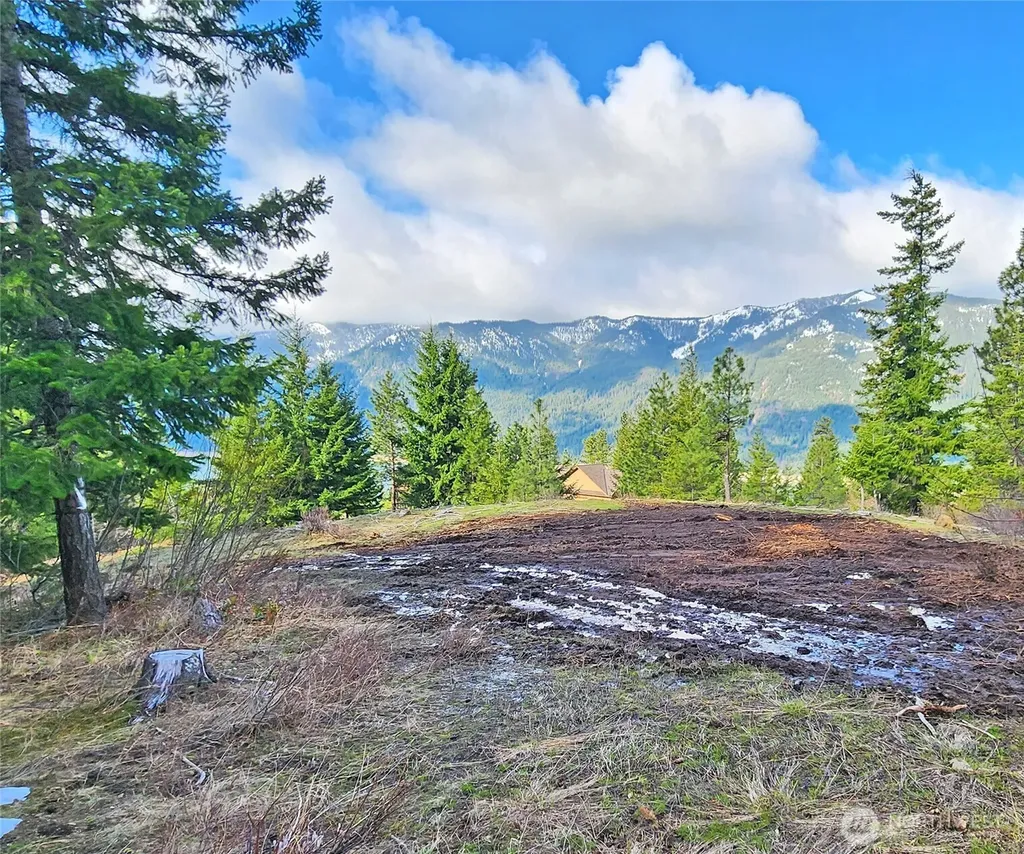 0 Grandview Road Ronald WA 98940