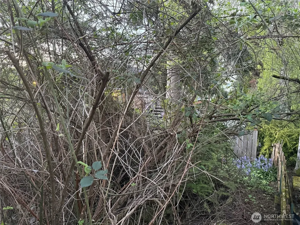3722 20th Avenue SW Seattle WA 98106