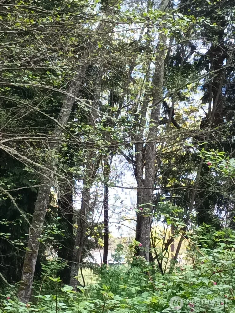 16 Olympic Drive Hat Island WA 98206