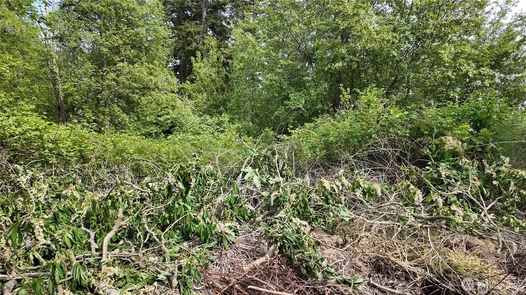 0 S Lake Campbell Road Anacortes WA 98221