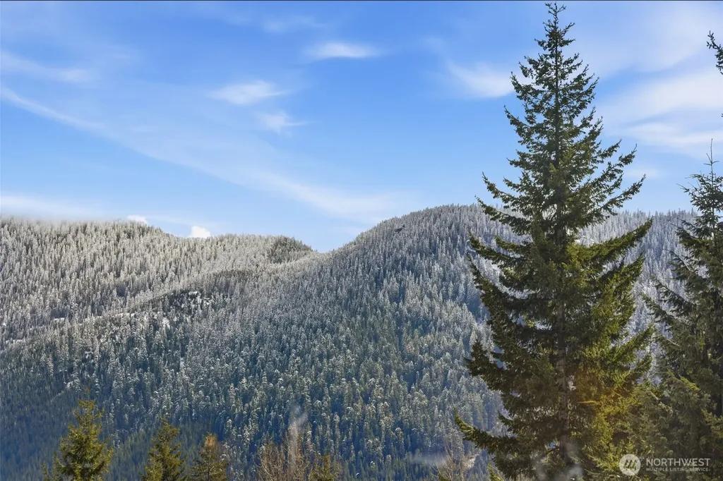 21 Arlberg Place Snoqualmie Pass WA 98068
