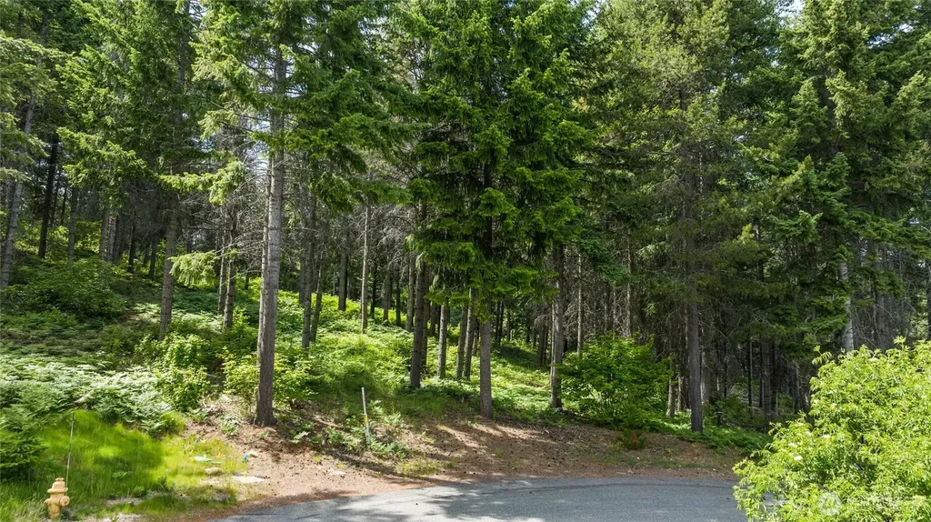 351 Quick Creek Lane Cle Elum WA 98922