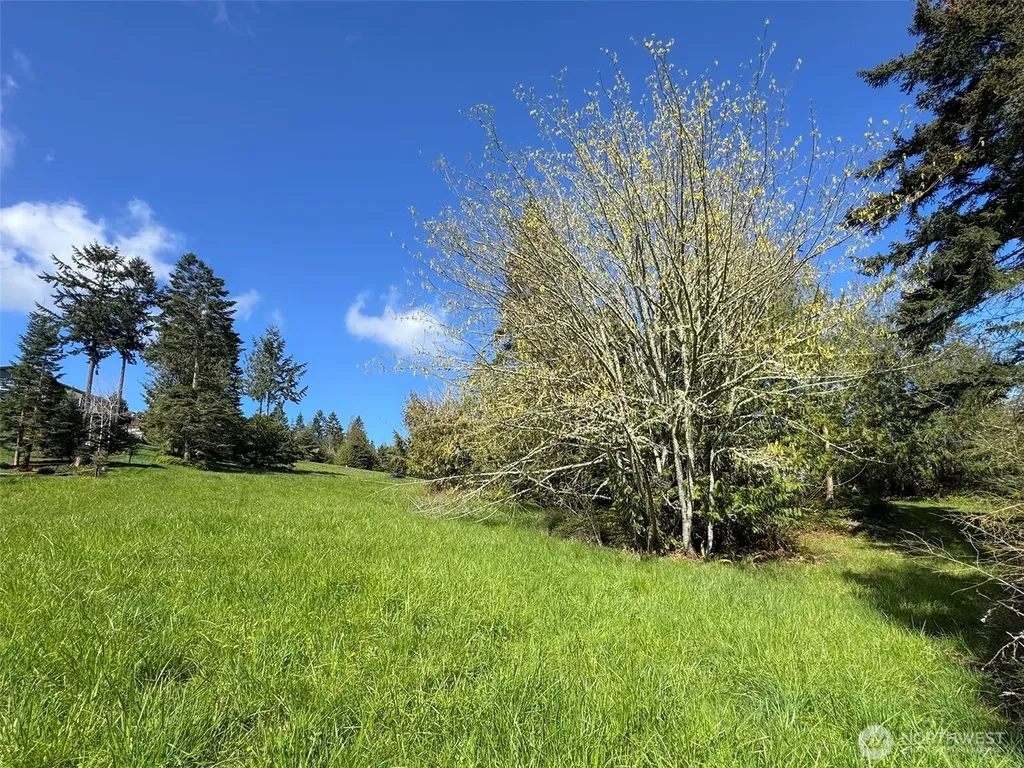 9999 Elks Pass Road Sequim WA 98382