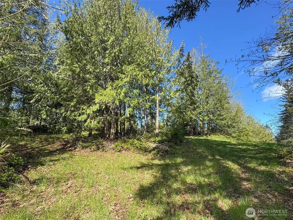 9999 Elks Pass Road Sequim WA 98382
