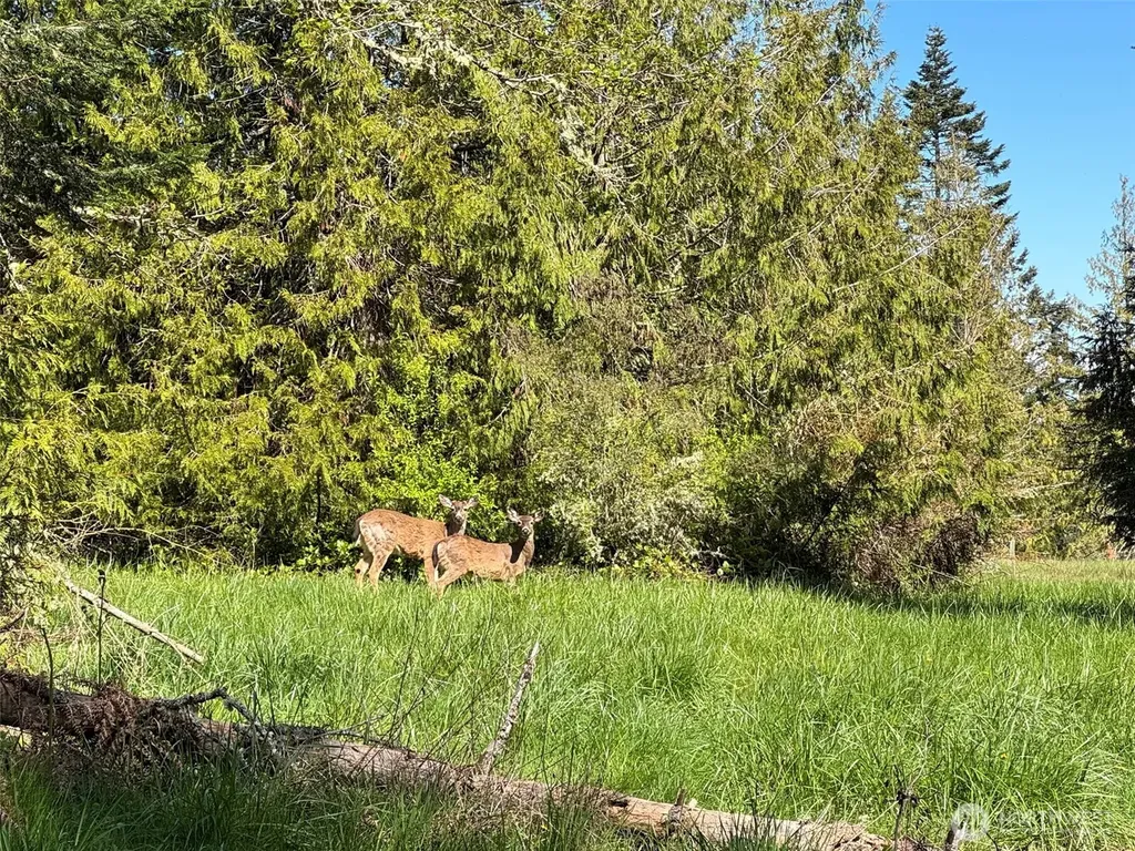 9999 Elks Pass Road Sequim WA 98382