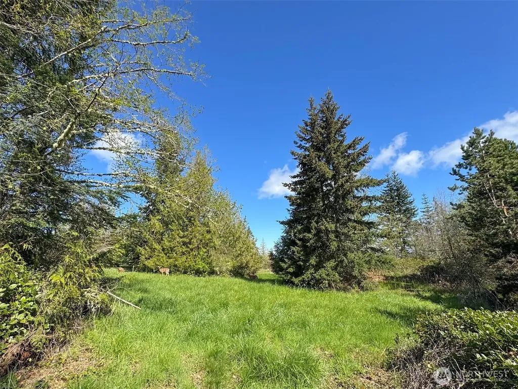 9999 Elks Pass Road Sequim WA 98382