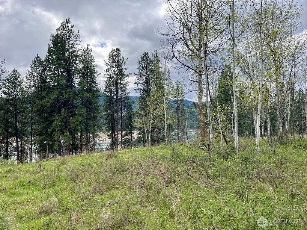 4239 Northport Flat Creek Road Northport WA 99157