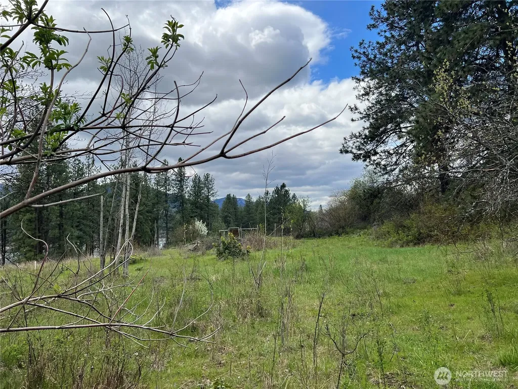 4239 Northport Flat Creek Road Northport WA 99157