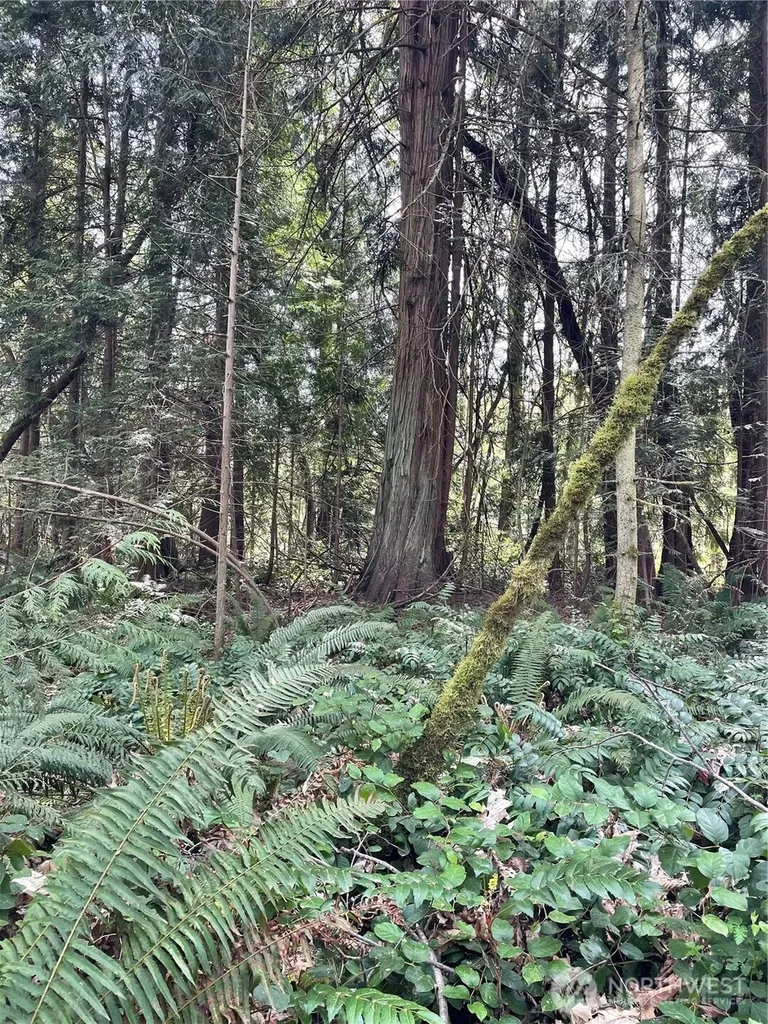 8807 Highway 20 Port Townsend WA 98368