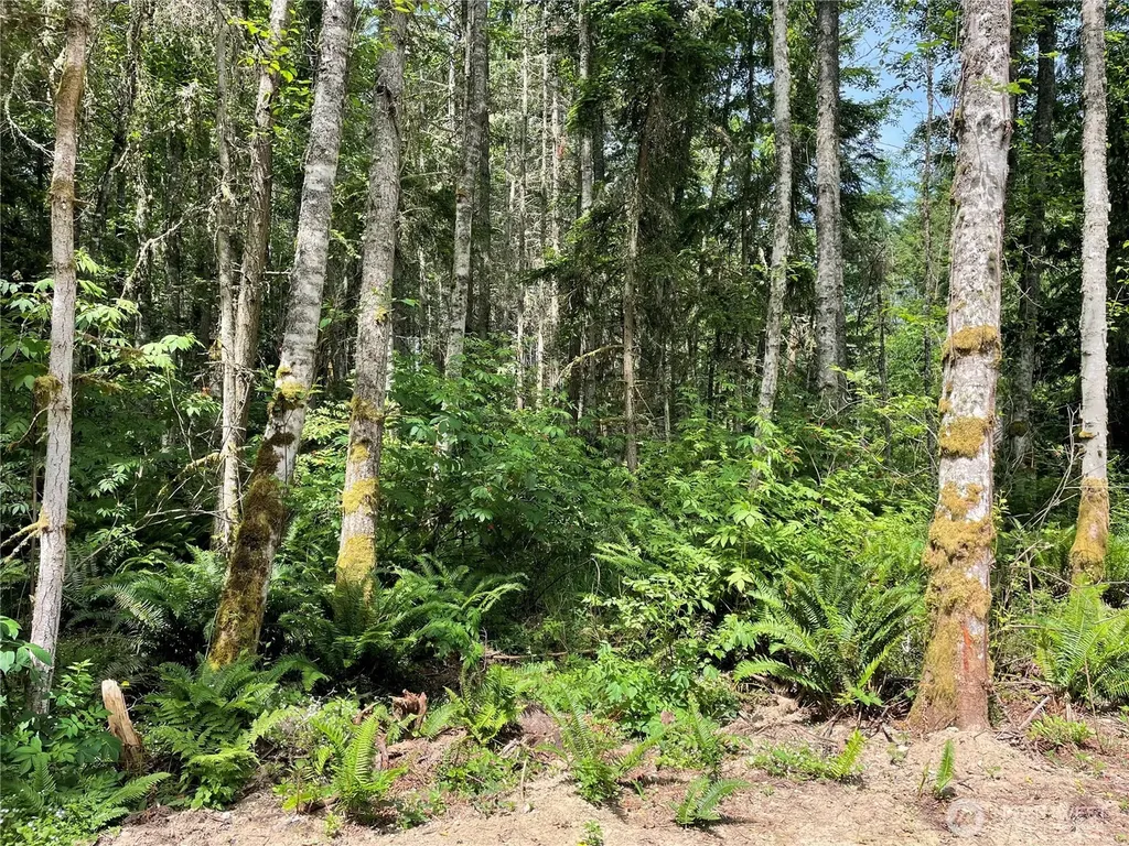8807 Highway 20 Port Townsend WA 98368