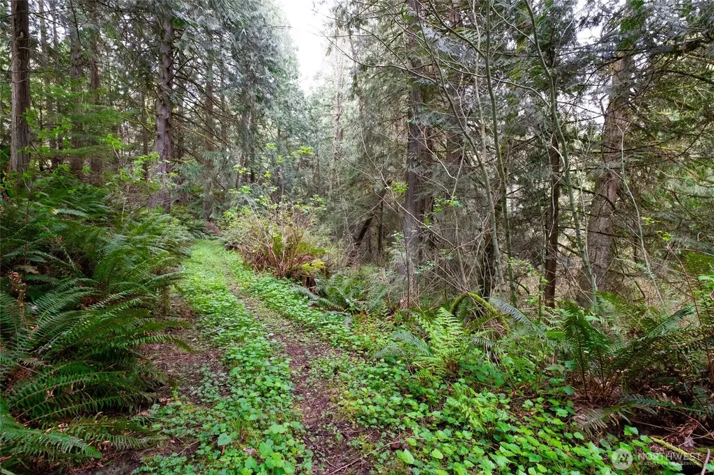 23655 Bulson Road Stanwood WA 98274