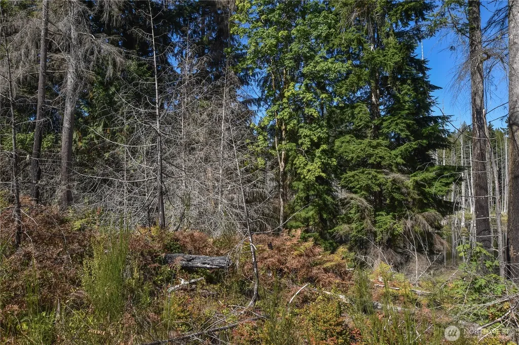 20 SW Hunter Road Port Orchard WA 98367