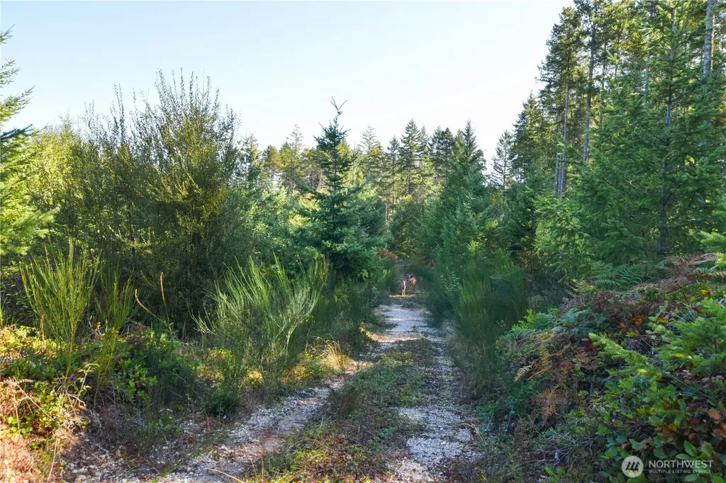 20 SW Hunter Road Port Orchard WA 98367