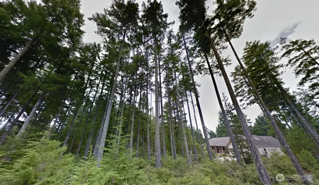 18 E Flaggwood Court Union WA 98592