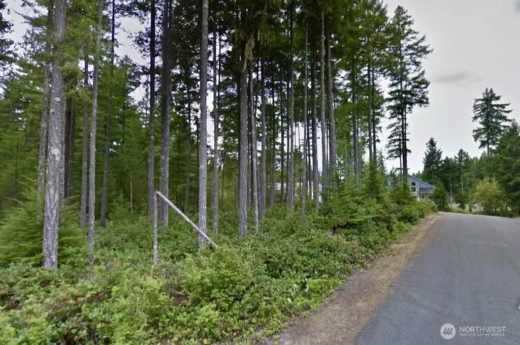 18 E Flaggwood Court Union WA 98592