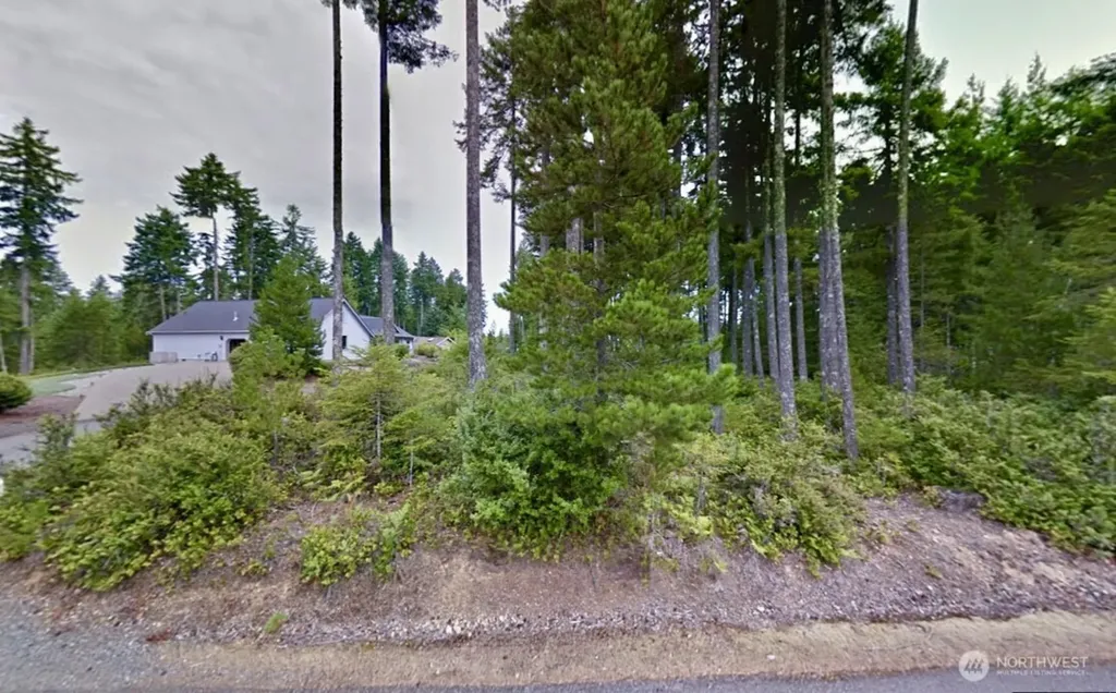 18 E Flaggwood Court Union WA 98592