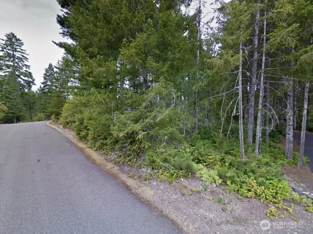 18 E Flaggwood Court Union WA 98592