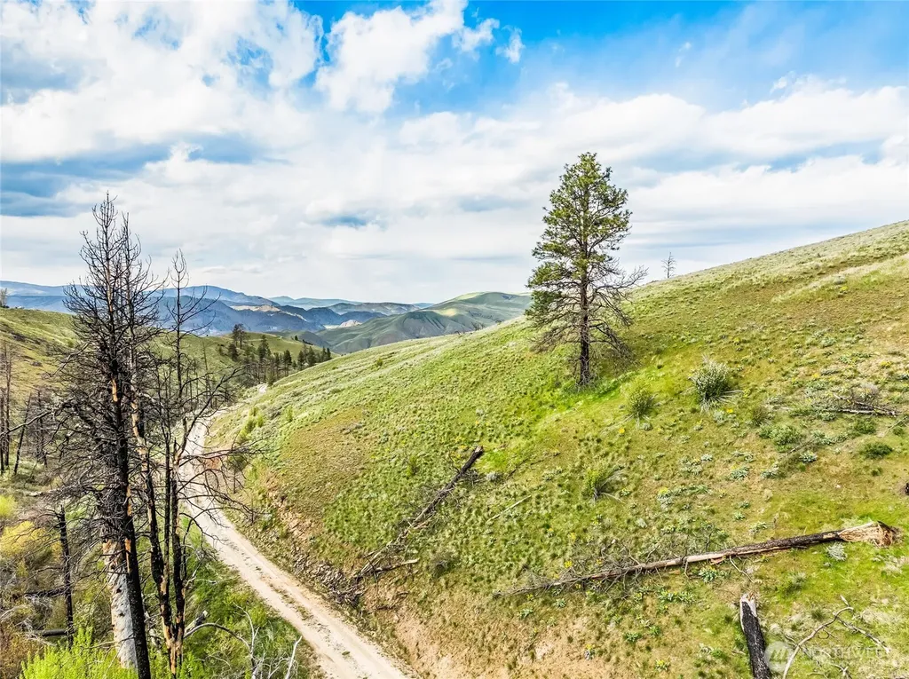 10 Lot 9 Chelan Hills Acres Road Orondo WA 98843