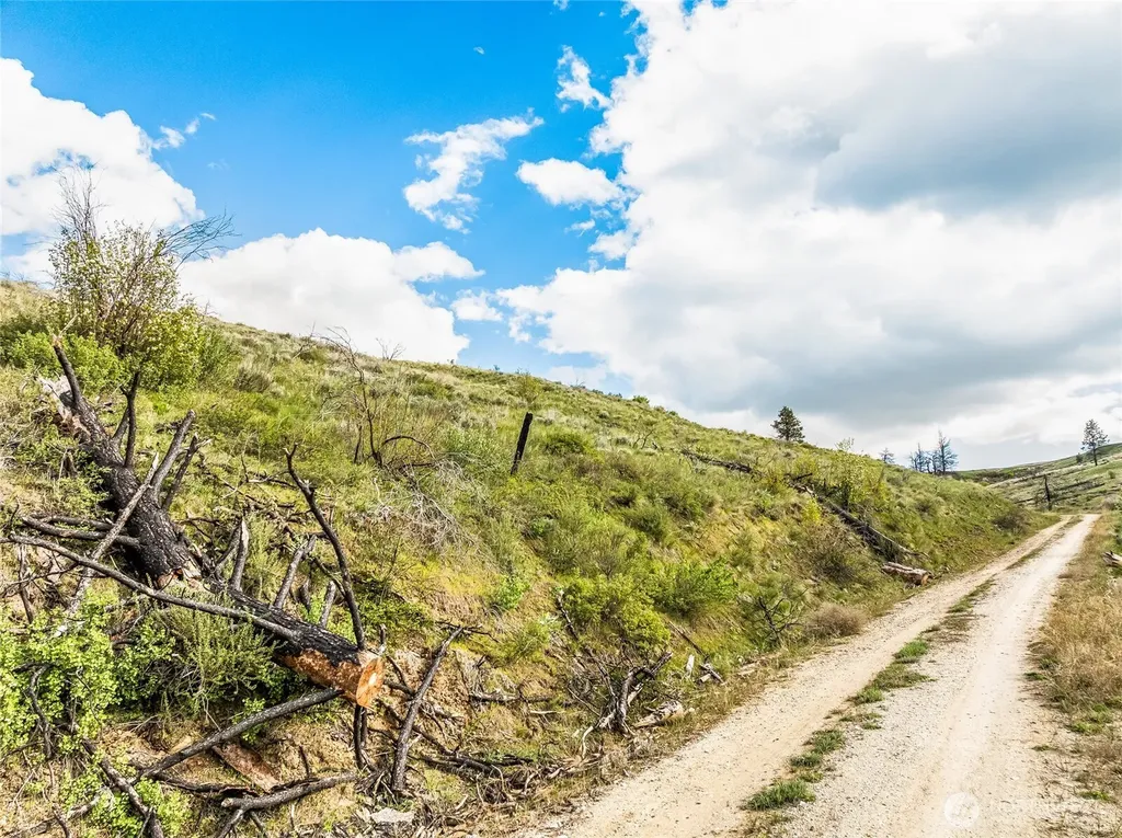 10 Lot 9 Chelan Hills Acres Road Orondo WA 98843