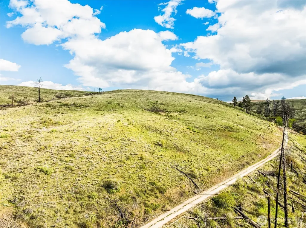 10 Lot 9 Chelan Hills Acres Road Orondo WA 98843