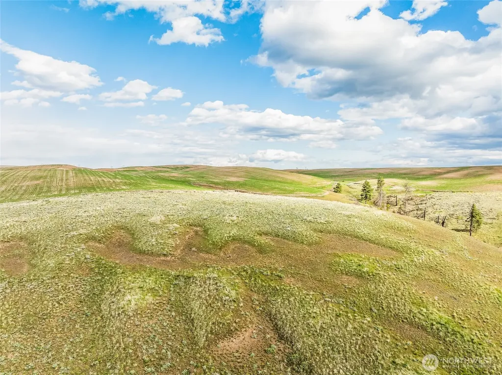 10 Lot 9 Chelan Hills Acres Road Orondo WA 98843