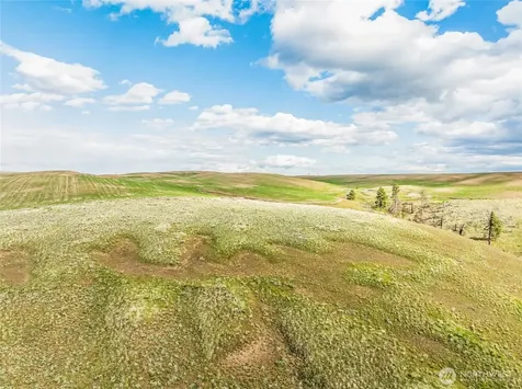 10 Lot 9 Chelan Hills Acres Road Orondo WA 98843