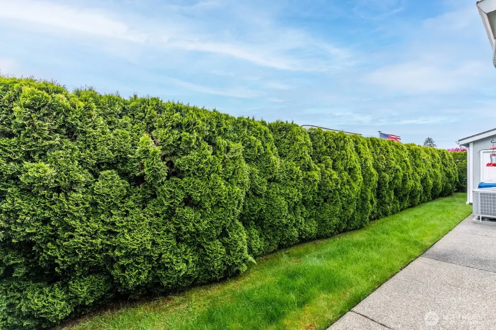 1838 Windflower Lane SE Lacey WA 98503