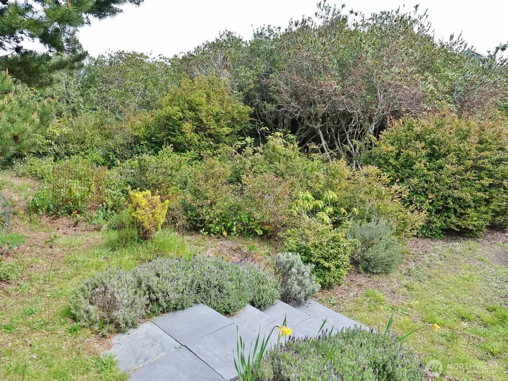 1056 Greenview Avenue SW Ocean Shores WA 98569