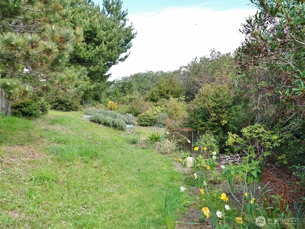 1056 Greenview Avenue SW Ocean Shores WA 98569
