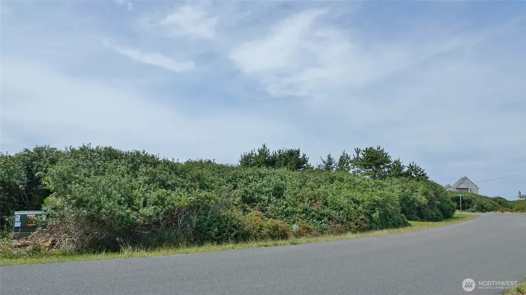 1056 Greenview Avenue SW Ocean Shores WA 98569