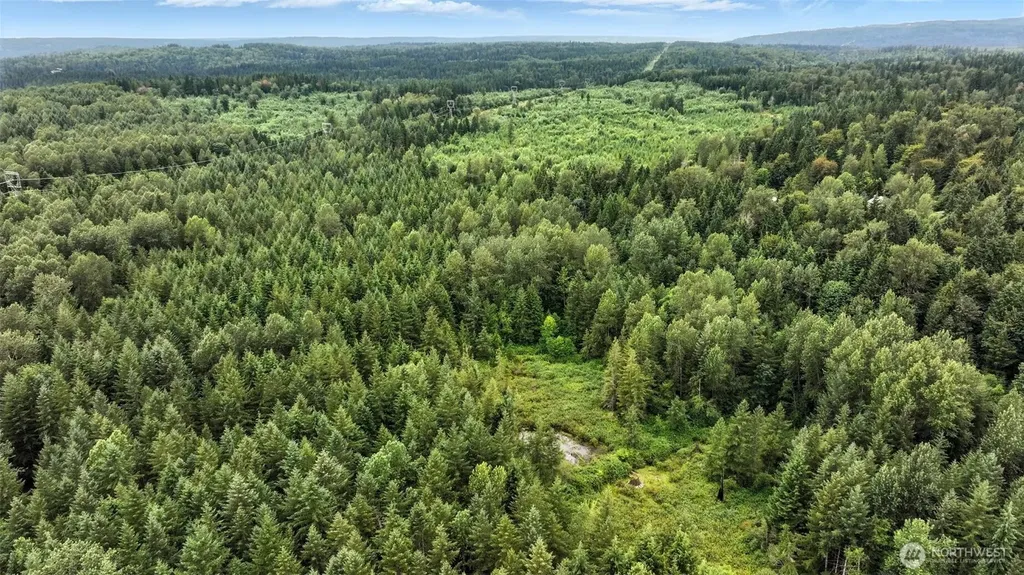 344 102nd Way NE Carnation WA 98014