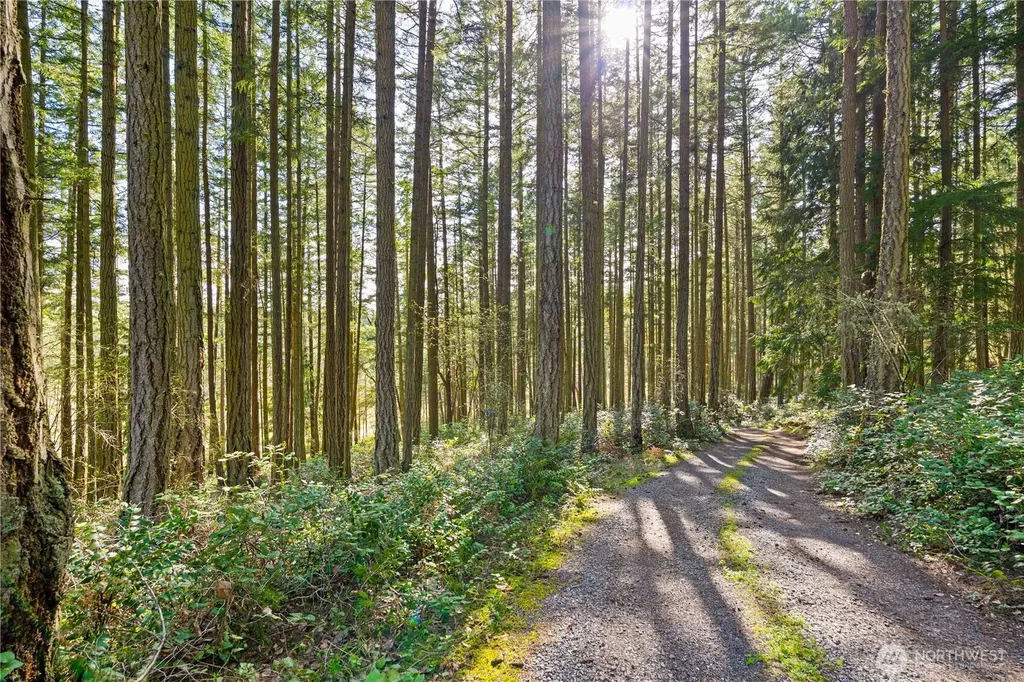 1290 Three Meadows Lane Friday Harbor WA 98250